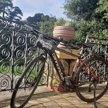 Our eBike in Golden Gate Park