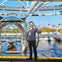 London Eye