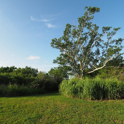 Everglades National Park