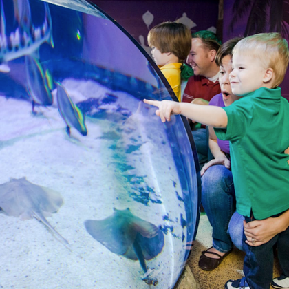 SEA LIFE Aquarium at American Dream: General Admission