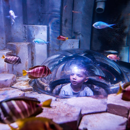 SEA LIFE Sydney Aquarium: Entry Ticket