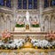 St. Patrick’s Cathedral 