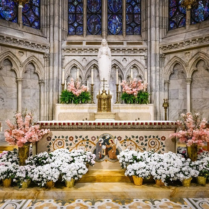 St. Patrick’s Cathedral 