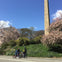 Egyptian obelisk, Cleopatra’s Needle in front of the Metropolitan Museum of Art.