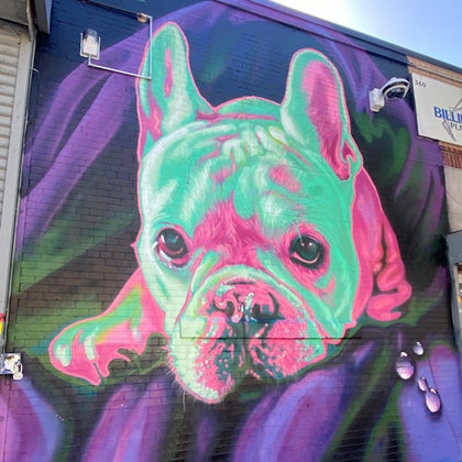 A colorful mural of a French Bulldog painted on a brick wall, featuring vibrant pink and green hues against a purple background.