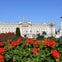 Eat 8 English Foods & See 30+ London Sights Walking Tour!