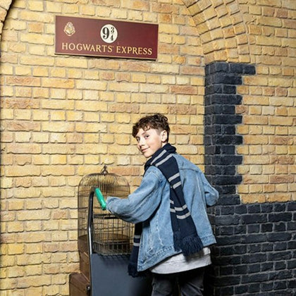A person posing beside a luggage trolley in front of the "Hogwarts Express" sign on a brick wall, styled as Platform 9¾.