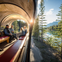 Cowboy Cookout: Wagon Ride from Banff