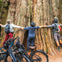 Family Stanley Park Bike Tour