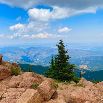 A lone pine tree on a rocky mountainside under a partially cloudy blue sky, overlooking a distant mountain range.