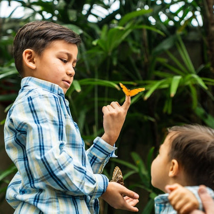 Two children interacting with a butterfly in an outdoor setting with lush greenery.