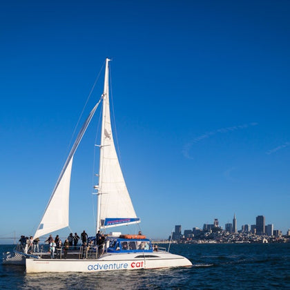 San Francisco: Sunset Catamaran Cruise
