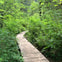 Hiking through the stunning nature.