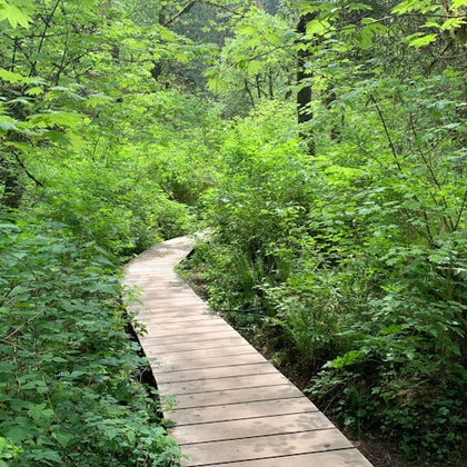 Hiking through the stunning nature.