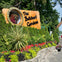 Victoria & Butchart Gardens: Day Trip from Vancouver