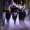 The Forbidden Forest