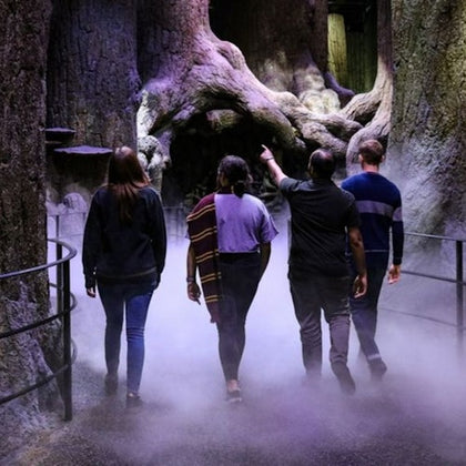 The Forbidden Forest