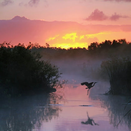 Everglades National Park