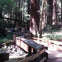Muir Woods National Monument