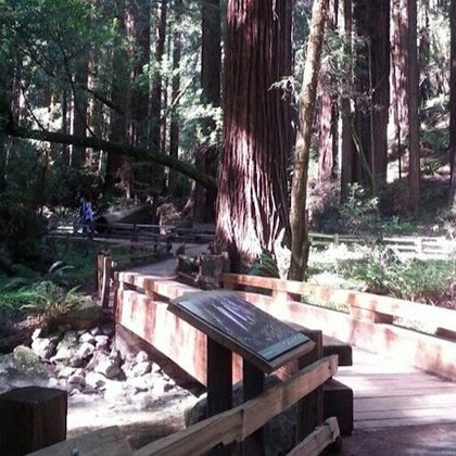 Muir Woods National Monument
