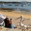 Live at Rose Bay