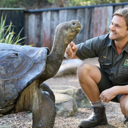 Zookeeper with Galapagos tortoise