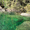 Incredible waters of Lynn Creek
