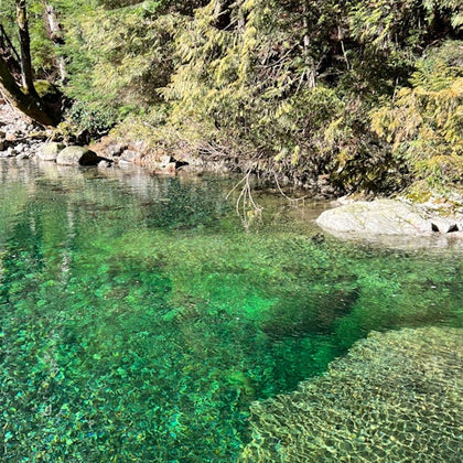 Incredible waters of Lynn Creek