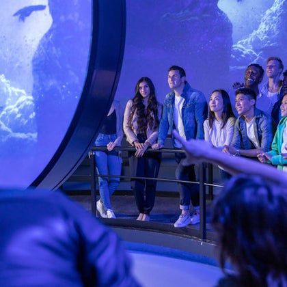 A group of people stand in front of a large, curved aquarium window, watching marine life in a dimly lit, blue-hued setting.
