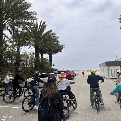 Santa Monica & Venice Beach: Electric Bike Tour