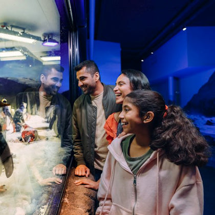 A family of three smiling and observing penguins through a glass enclosure at an indoor aquarium.