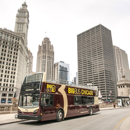 48-Hour Hop on Hop off + Architecture Cruise