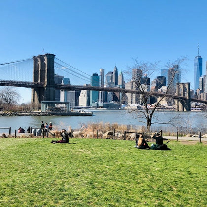 Brooklyn Bridge Park