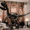 NYC Museum Bundle