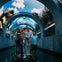 A family of four stands under an arched digital display showing trees and sky, smiling and pointing.
