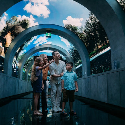 A family of four stands under an arched digital display showing trees and sky, smiling and pointing.