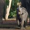Taronga Zoo