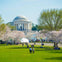 People enjoying a park with cherry blossoms and the Jefferson Memorial in the background on a sunny day.