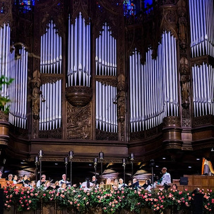 Primary Organ