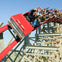 A red roller coaster shaped like a classic car with passengers leaning and holding their hands up, on a wooden structure.