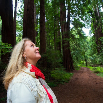 From San Francisco: Muir Woods & Sausalito Morning Tour