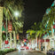 Los Angeles Holiday Lights Bus & Rodeo Drive Walking Tour