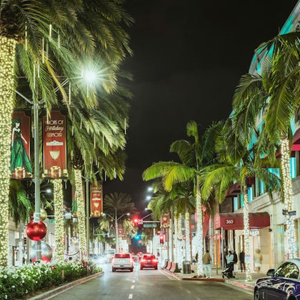 Los Angeles Holiday Lights Bus & Rodeo Drive Walking Tour