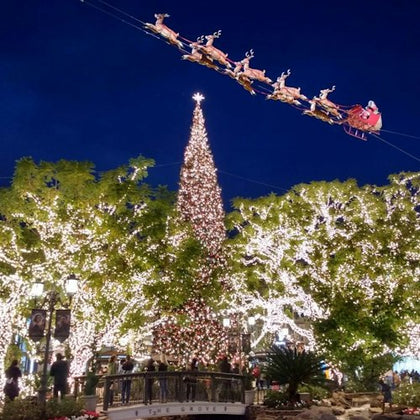 Los Angeles Holiday Lights Bus & Rodeo Drive Walking Tour