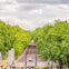 Babylon Tours Royal Tour with entry to Buckingham Palace