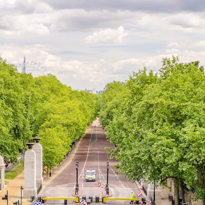Babylon Tours Royal Tour with entry to Buckingham Palace