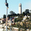 Coit Tower & Little Italy: Landmark Walking Tour