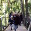 Rainforest Walk