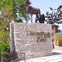 Lakefront Neighborhoods Bike Tour