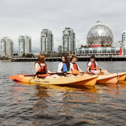 Kayak and Coffee Tour